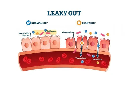 Canine Leaky Gut Syndrome