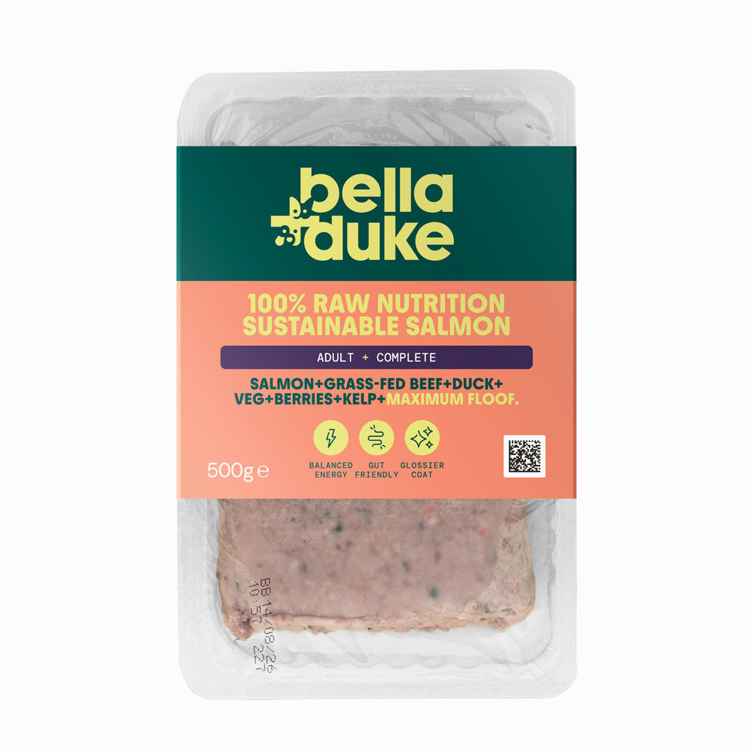 BD Salmon Complete 500g