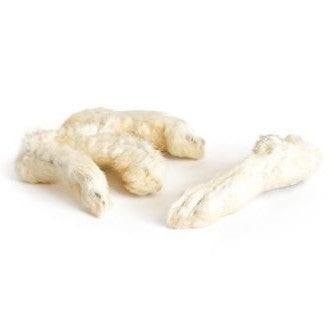 Natural Dried Rabbit Foot with Fur X 1