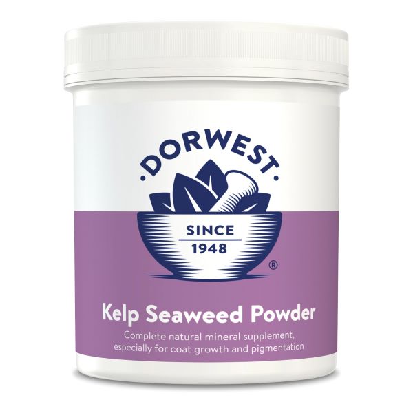 Kelp Seaweed Powder 250g