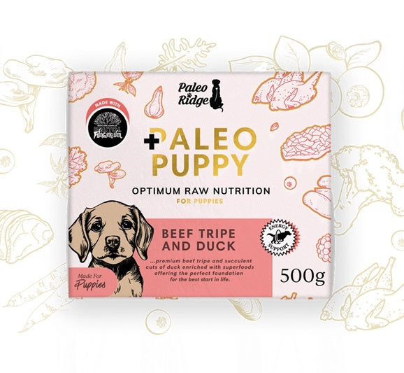 Paleo Puppy Beef Tripe & Duck 500g