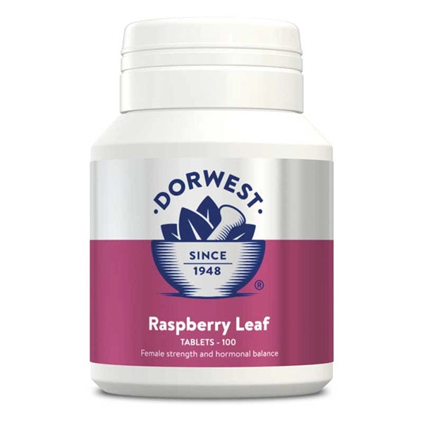 Raspberry leaf Tablets for Dogs and Cats