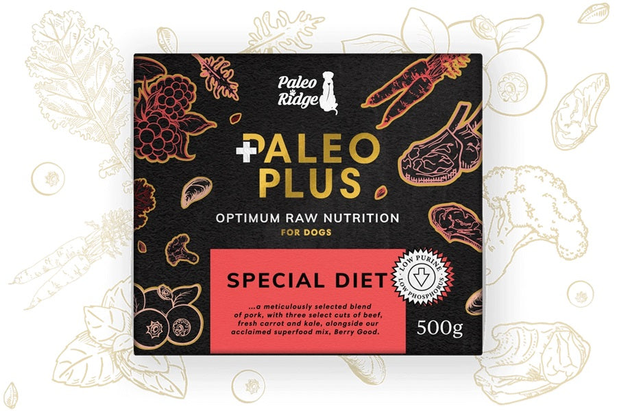 Paleo Plus Special Diet 500g