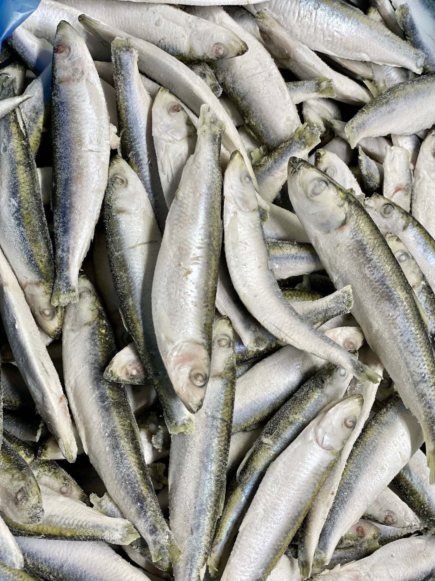 Sprats 1kg