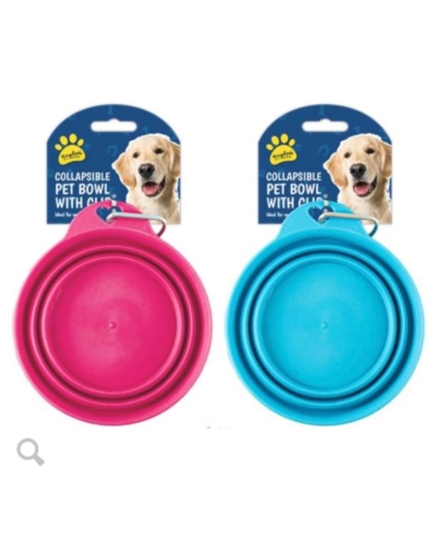 Collapsible Pet Bowl