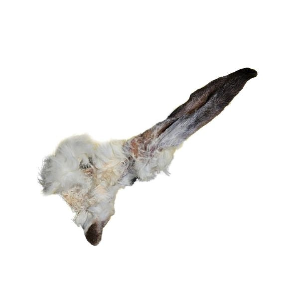 Natural Dried Rabbit Ear with Fur X 1
