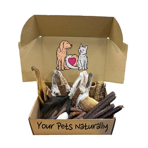 Large Dog Treat Box