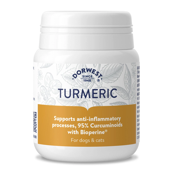 Turmeric 100 Tablets