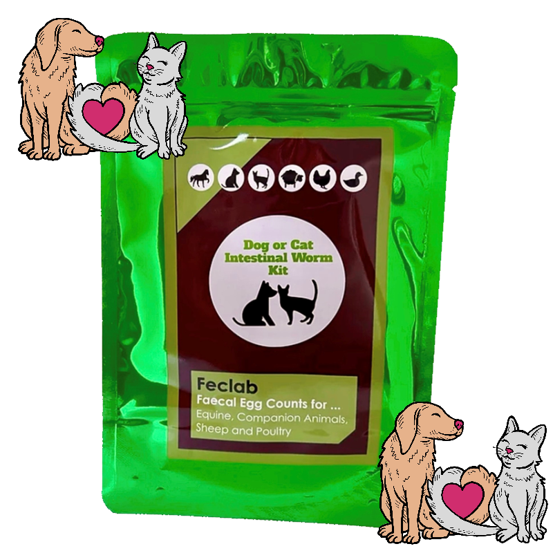 Dog or Cat Combined Lung & Worm Count Kit