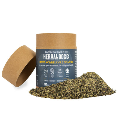 Anal Gland Natural Herbal Support Powder