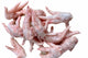 Chicken feet 1kg