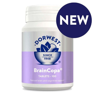 BrainCopa for Dogs and Cats