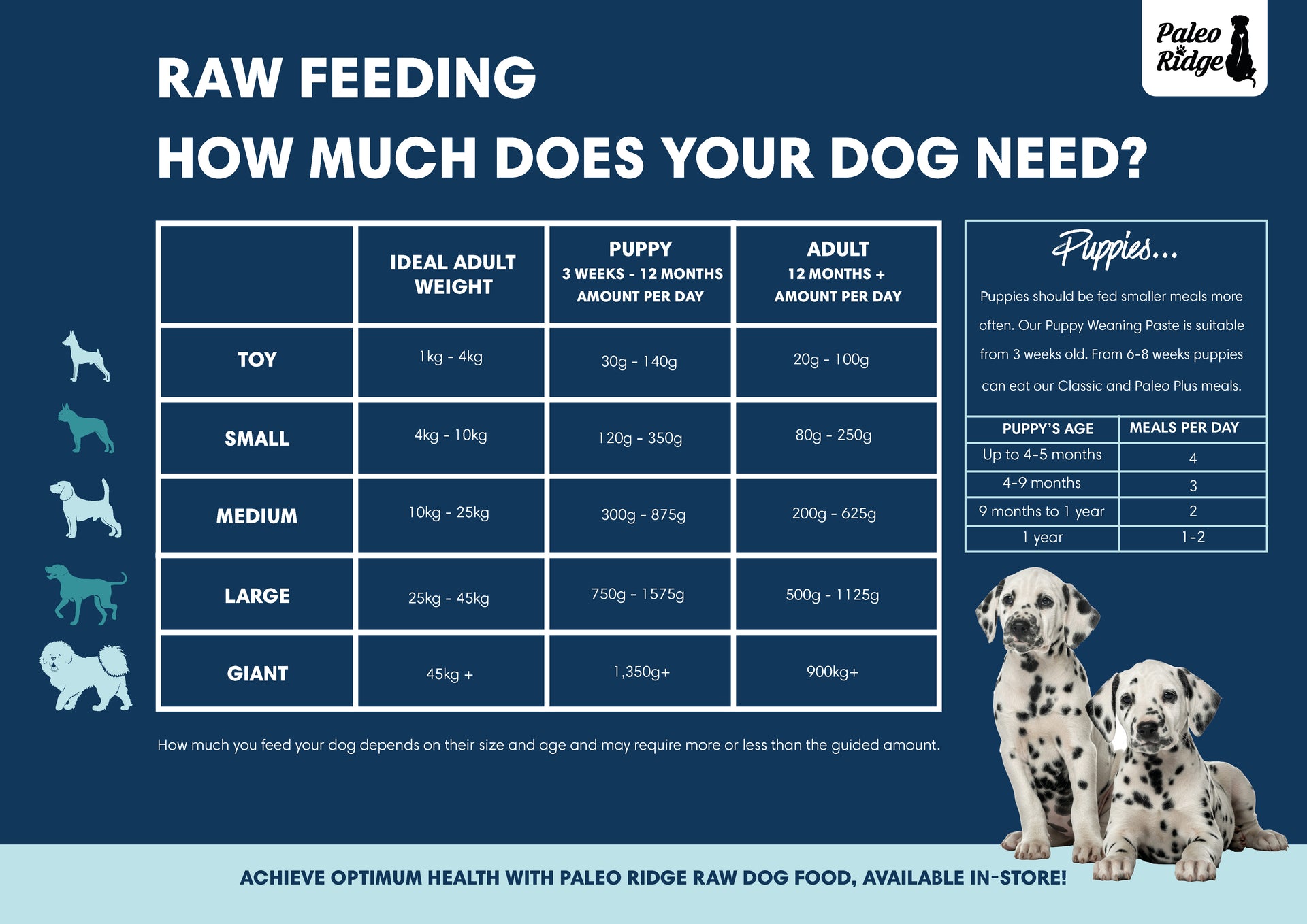 Raw Feeding Advice Your Pets Naturally