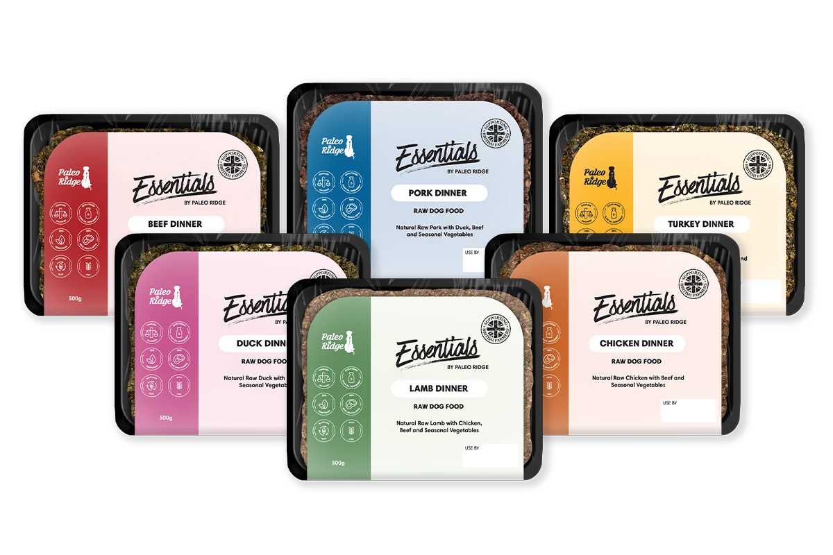 Essentials Hamper 16 x 500g