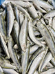 Sprats 1kg
