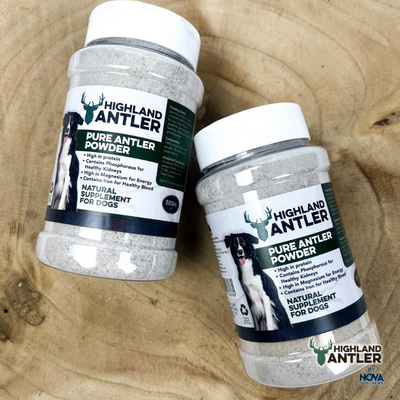 Antler Powder 500ml