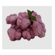 Blueberry Kefir Paws