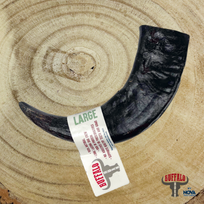 Buffalo Horn Large X 1